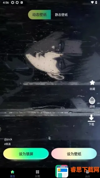 熊猫软件库(应用下载平台) 熊猫软件库(应用下载平台)