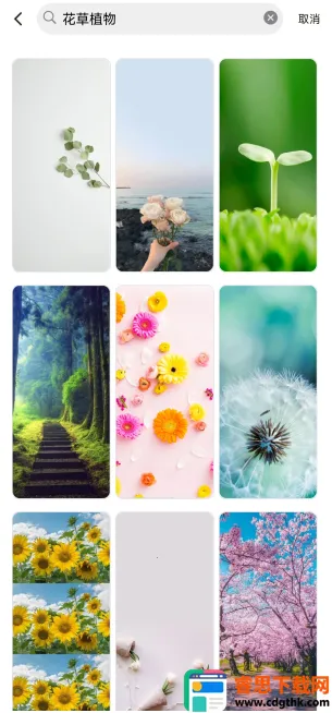 ������ֽ(��ֽ��������)