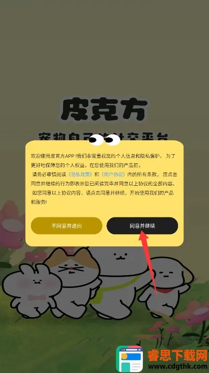 Ƥ�˷�(������Ƶapp)