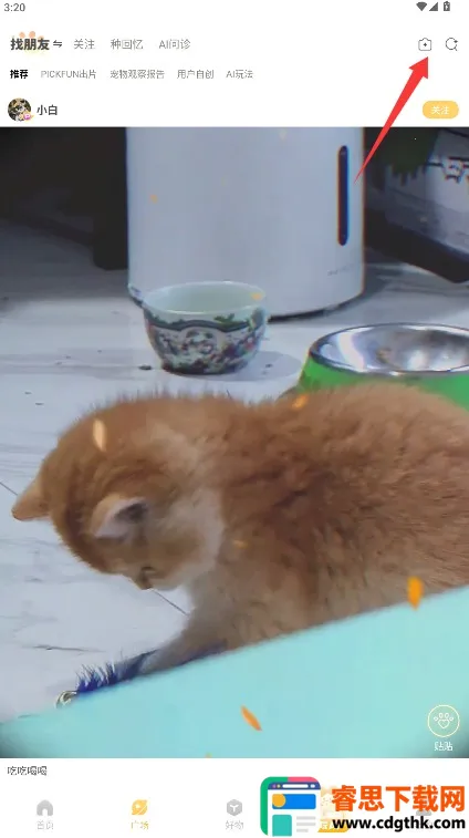 Ƥ�˷�(������Ƶapp)