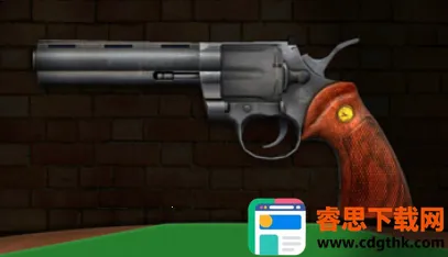 ����˹ת��(ת��ģ����Ϸ)