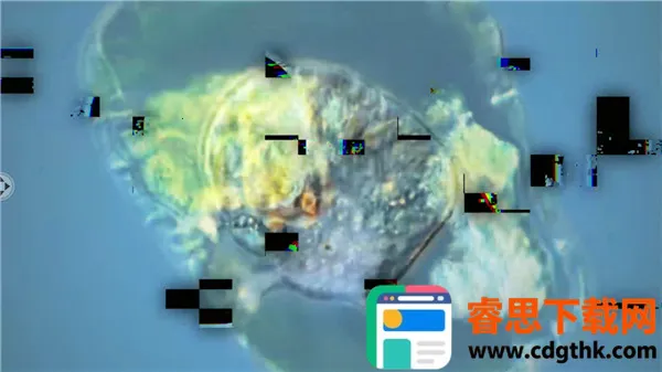 ����ģ����2025���ذ�װ