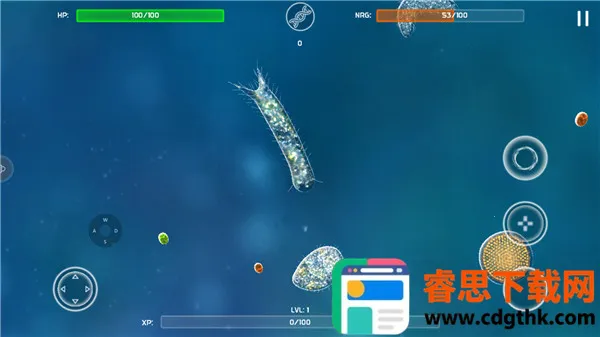 ����ģ����2025���ذ�װ