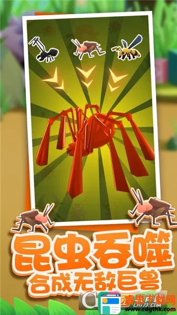 ������2026�ٷ����°汾