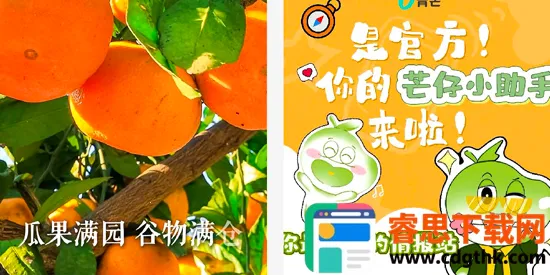 ��â�����ֻ���