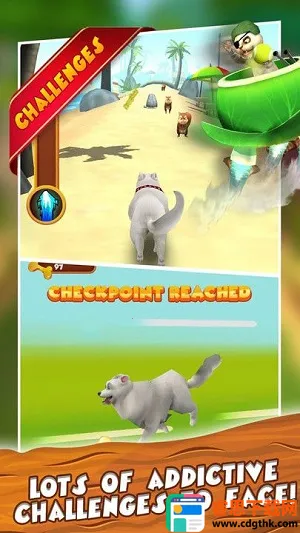 ���ܵ�С��2026���ذ�װ