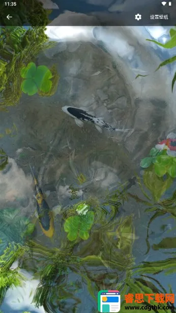 ��ض�̬��ֽ