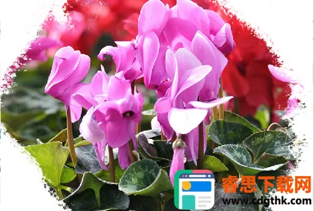 ���ݻ���ƽ̨��ҵ��