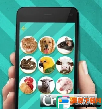 �������������������ֻ���