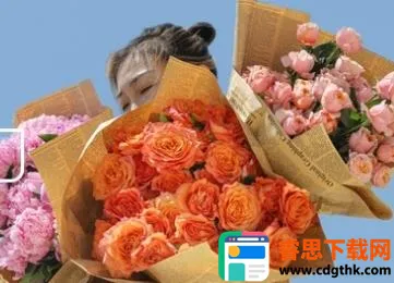 ������ѡ