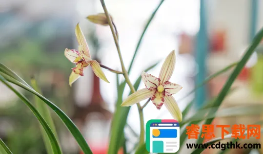 ������Դ2026���°汾