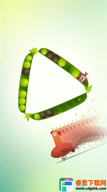 ���ĸ���