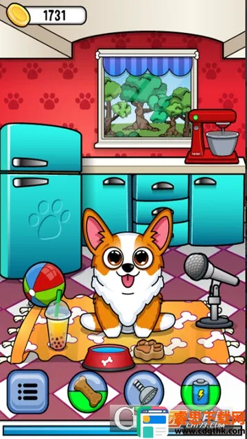 corgi��������