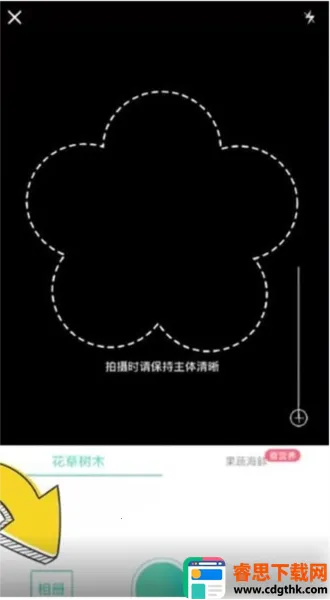 ��ɫ2026���°汾