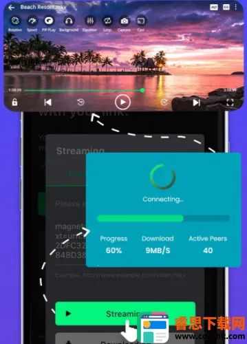 SPlayer2026�ٷ����°汾