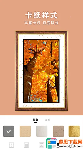 һ����������ֻ���