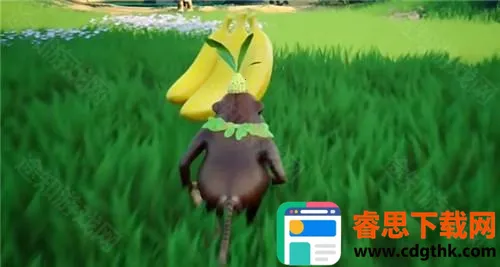 ����������Ȱ漪������