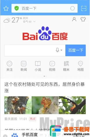 ��ӥ������������