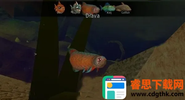 ���״���ɱ������