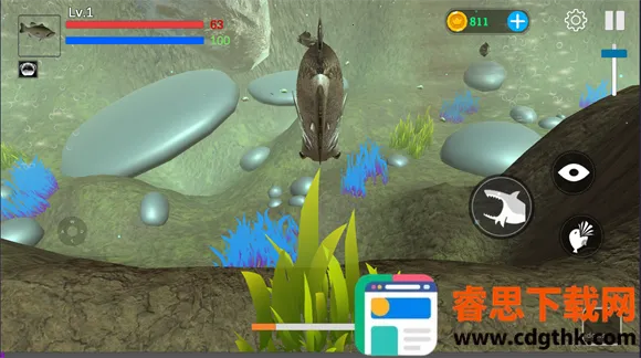 ���״���ɱ������