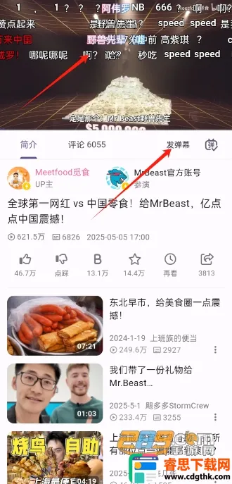 PiliPlus�����ֻ���