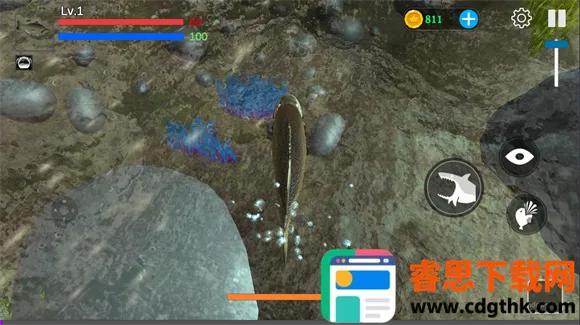 ���״���ɱ�ƽ��