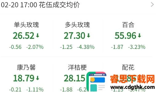 ���������ֻ���