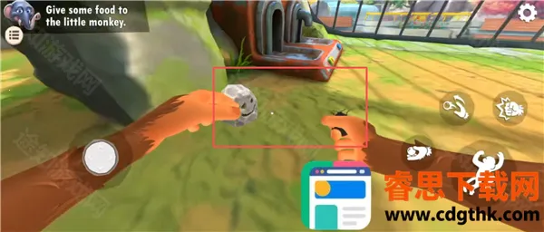 ����һֻ������