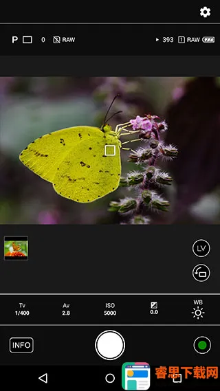 ����Image Sync(�����������)