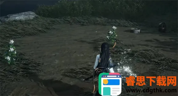 ����ʮ����2026���°汾