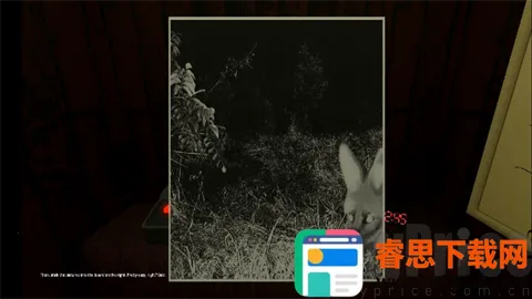 ����۲�Ա�ֲ���Ϸ