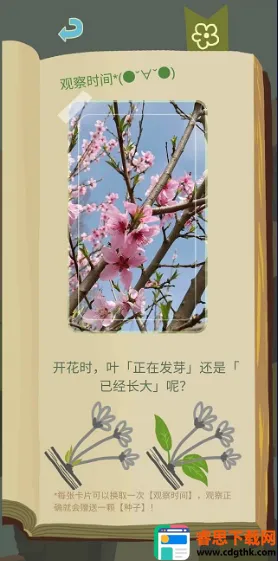 ��ũ������������