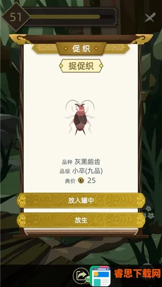 �Ŵ�����ģ����2026���°汾