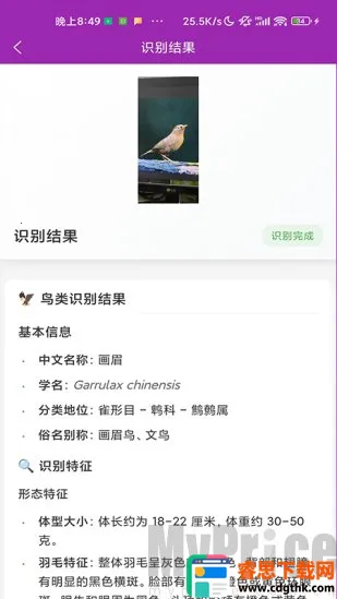识鸟(鸟类识别工具) 识鸟(鸟类识别工具)