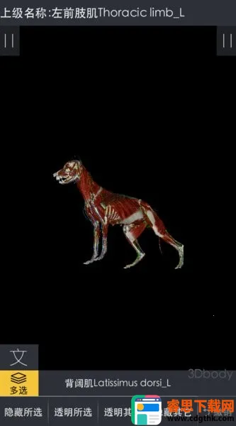 3dbody宠物版免费 3dbody宠物版免费