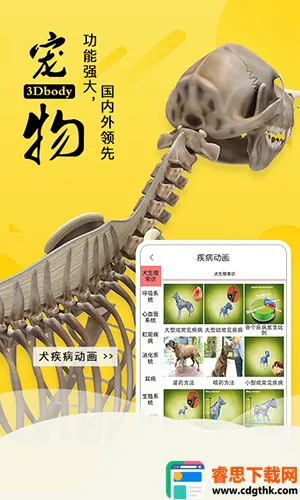 3dbody宠物版免费 3dbody宠物版免费