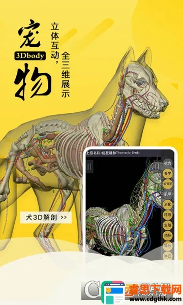 3dbody宠物版免费 3dbody宠物版免费