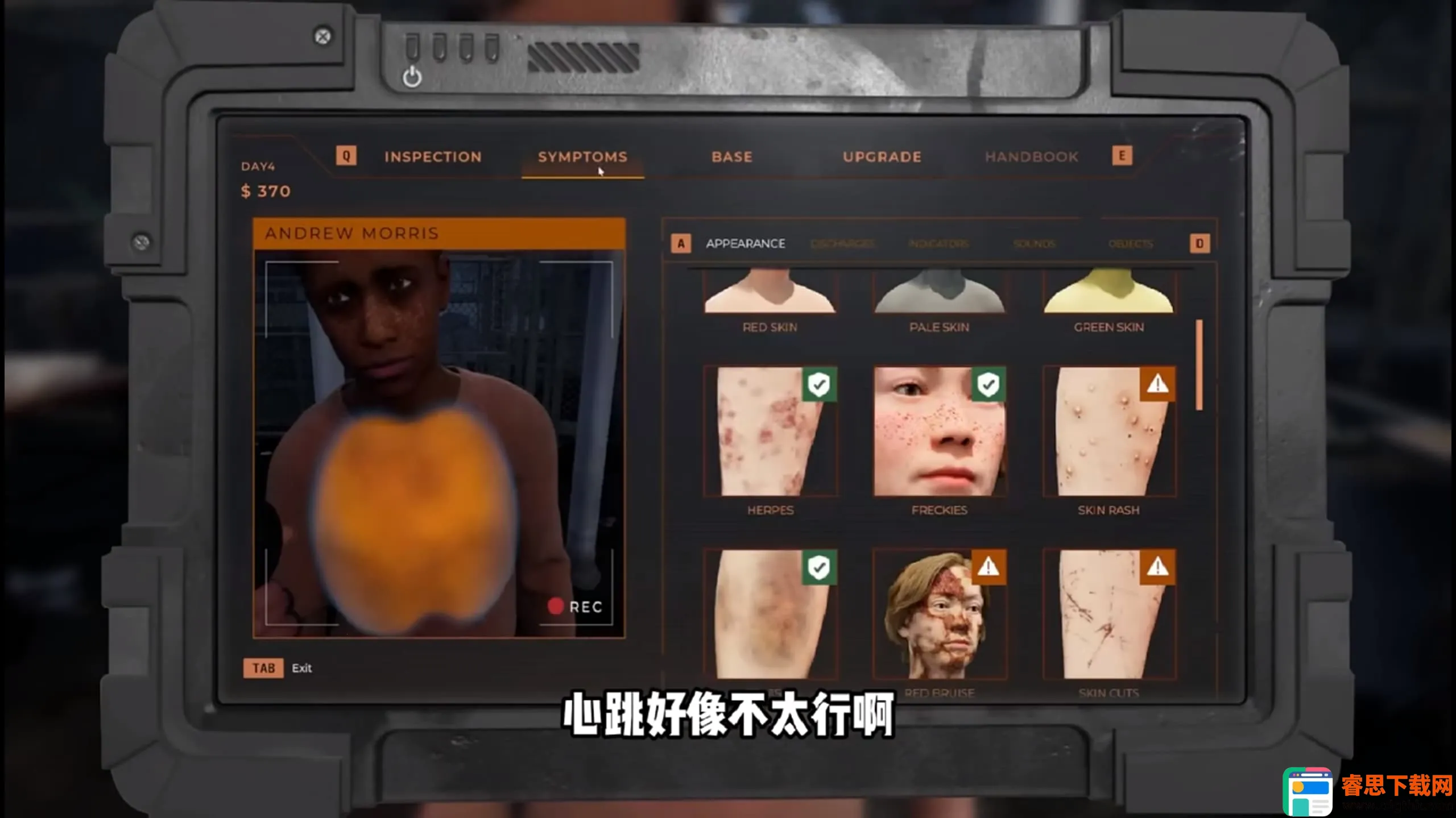 ɥʬ�߾�������ʽ��