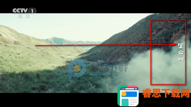 �������TVֱ�����°汾