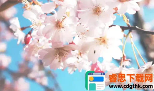 ��ɫ��ɫ�����ֻ���