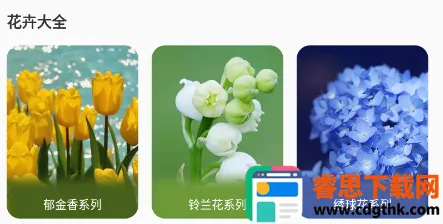 ����¼2026���°汾