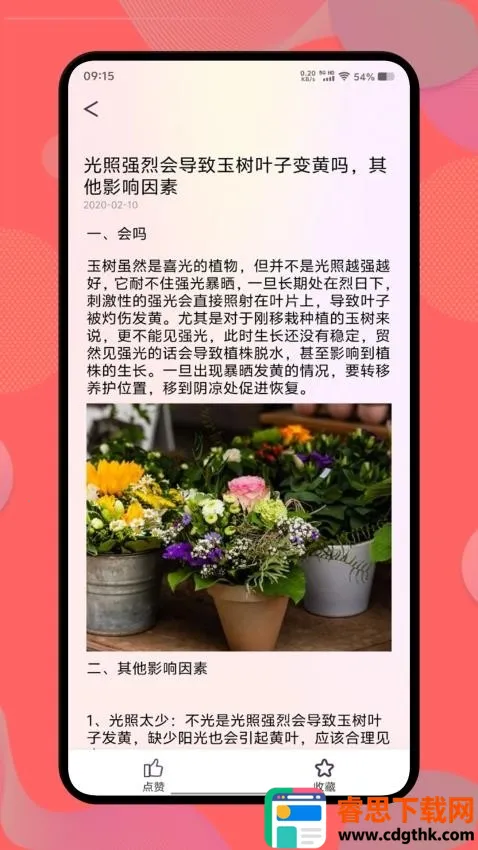 ������(����֪ʶƽ̨)