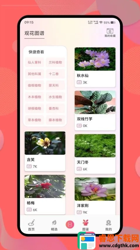 ������(����֪ʶƽ̨)