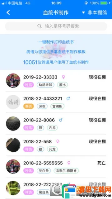 天下鸽谱2026官方正版 天下鸽谱2026官方正版