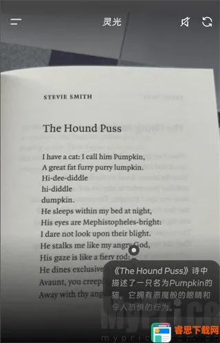 ���AI��������