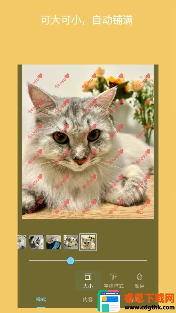 ��ˮӡ��Ƭ(ˮӡ���ӹ���)