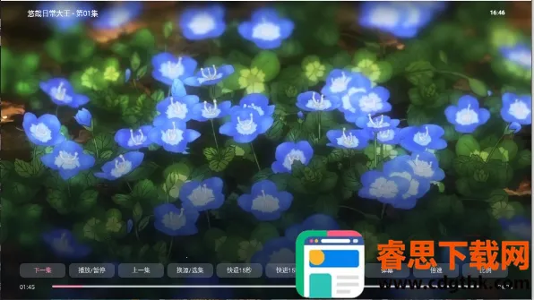 ��Ԫ�DTV2026�ٷ����°汾